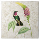 Suche nach kolibri fliesen Blume