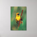 Suche nach anzeige leinwandbilder Tag