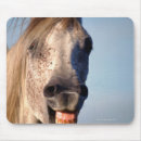 Suche nach lachende mousepads Spaß