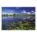 Suche nach wasserstraßen poster Natur