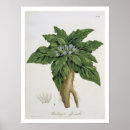 Suche nach vegen poster 1821