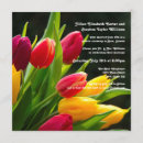 Suche nach tulpe foto einladungen Blumen