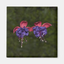 Suche nach bänder magnete Blume