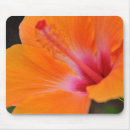 Suche nach hibiskus mousepads Blumen