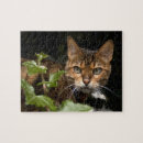 Suche nach bengal cat puzzle Cats