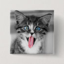 Suche nach katze mit blauen augen buttons Fotografie