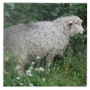 Suche nach niedliche schafe fliesen Tiere