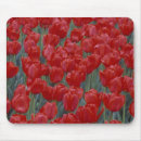 Suche nach rote tulpe mousepads Natur