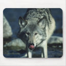 Suche nach graue wölfe mousepads Vorderansicht