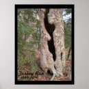 Suche nach nature photography poster Woodland