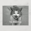 Suche nach gruselige katze postkarten Katzenliebhaber