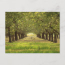 Suche nach mandeln postkarten Schön