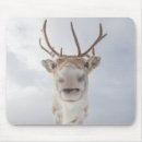 Suche nach rentiere mousepads Niedlich