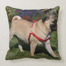 Suche nach alarm kissen Carlin