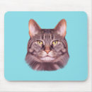 Suche nach katzengesicht mousepads Kätzchen