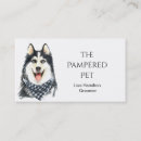 Suche nach husky visitenkarten Tierarzt