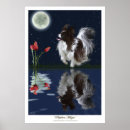 Suche nach papillon poster Tiere