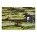 Suche nach mauritius poster Reisen