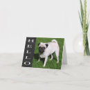 Suche nach pug karten Welpe