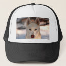 Suche nach schlitten kappen Hund