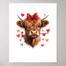Suche nach highland cow poster Nutztier