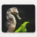 Suche nach niedliche fische mousepads Süß