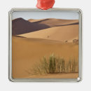 Suche nach wüste ornamente Sand