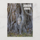 Suche nach buddha kopf postkarten Ayutthaya