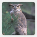Suche nach uhu aufkleber Greifvögel