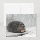 Suche nach selbst gemacht postkarten Friend