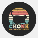 Suche nach funny cat aufkleber Kitty