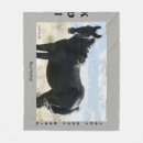 Suche nach colter decken Pferd