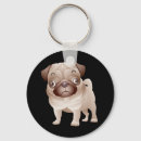 Suche nach pug schlüsselanhänger Puppy