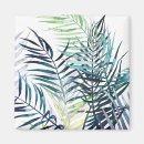 Suche nach palmen magnete Küstenlinie