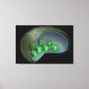 Suche nach mikrobiologie geschenke Illustration