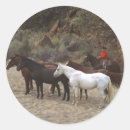 Suche nach herd aufkleber Cowboy