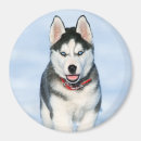 Suche nach sibirischer husky magnete Welpe