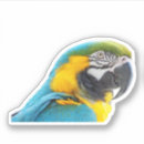 Suche nach niedlicher papagei aufkleber Tier