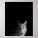 Suche nach wölfe poster Wohngestaltung