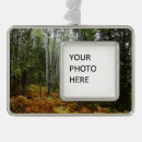 Suche nach birke ornamente Herbst
