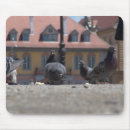 Suche nach tauben mousepads Stadt