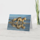Suche nach camargue karten Wildpferd