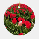 Suche nach rosa tulpen ornamente Quelle