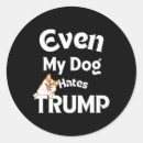Suche nach anti donald trump aufkleber Demokrat