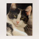 Suche nach weiße katze puzzle Niedlich