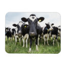 Suche nach reihen magnete Landwirtschaft