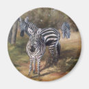 Suche nach zebras magnete Wild lebende tiere