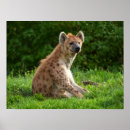 Suche nach savannen poster Wild