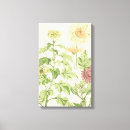 Suche nach chrysanthemen leinwandbilder Botanisch