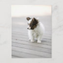 Suche nach papillons postkarten Natur